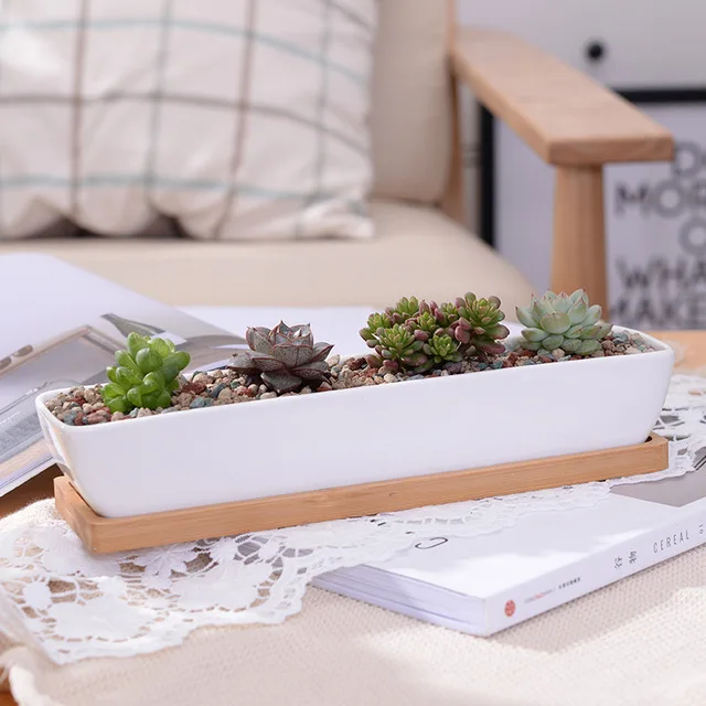

1 Set Minimalist Geometry White Ceramic Succulent Plant Pot Bonsai Planter Porcelain Flower Pot Home Decor(1 Pot + 1 Stand)