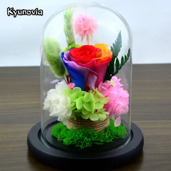 

Kyunovia Graduation Gift Valentine's Day Birthday for Mother Sister Fresh Preserved Rose Flower Colorful Home Decoration KY123