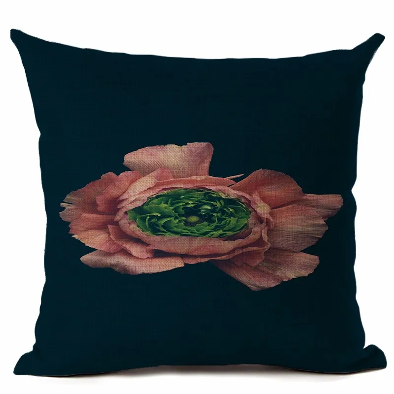 00 (6)