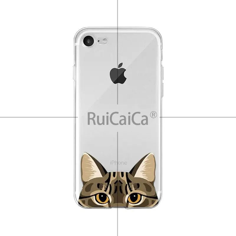 Cute and funny pet dog cat head