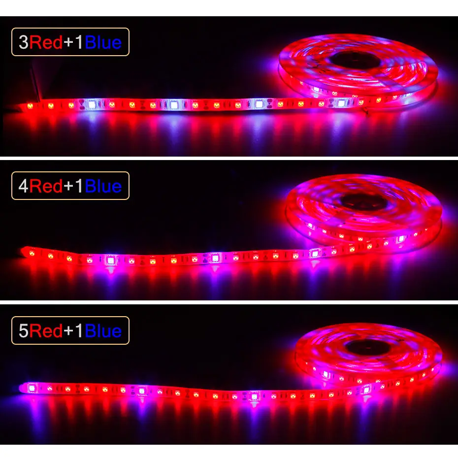 Grow Light LED Strip 5050 Chip 5M DC12V Full Spectrum for Plants Greenhouse Hydroponic Seeding