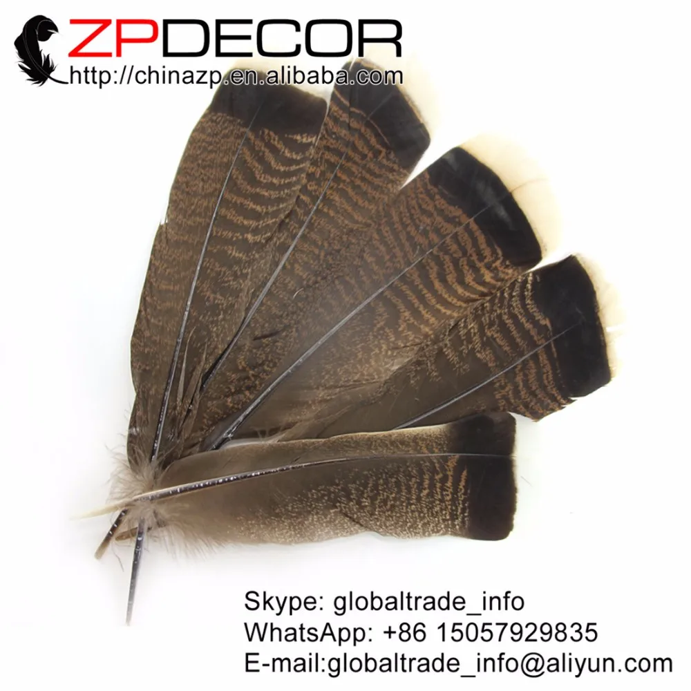 natural wild turkey flat featehrs  (3)