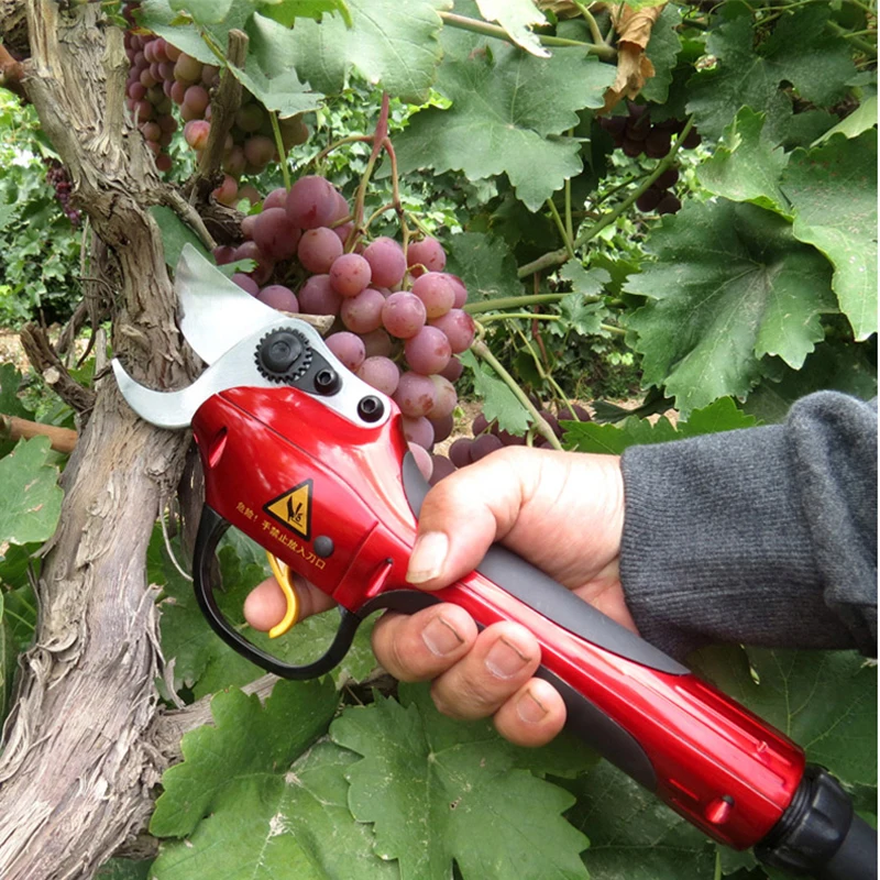 

1 set electric pruning shears garden pruning tools(complete set of instruments of scissors to the garden and orchards)