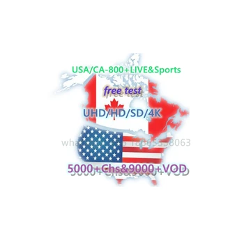 

M3U French IPTV 1/3/6/12 Months 6000 European Arab Grammar Country Sweden, Netherlands, Germany, Italy, United States VOD Adul
