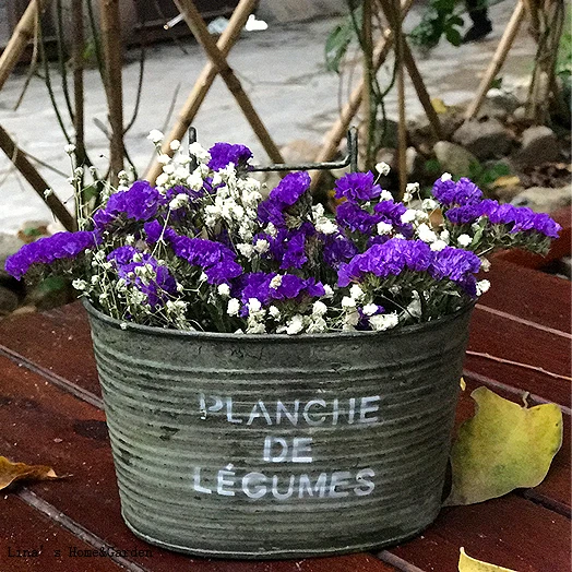 vintage retro galvanized metal zinc wall mini planter