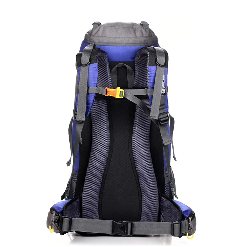 1.6