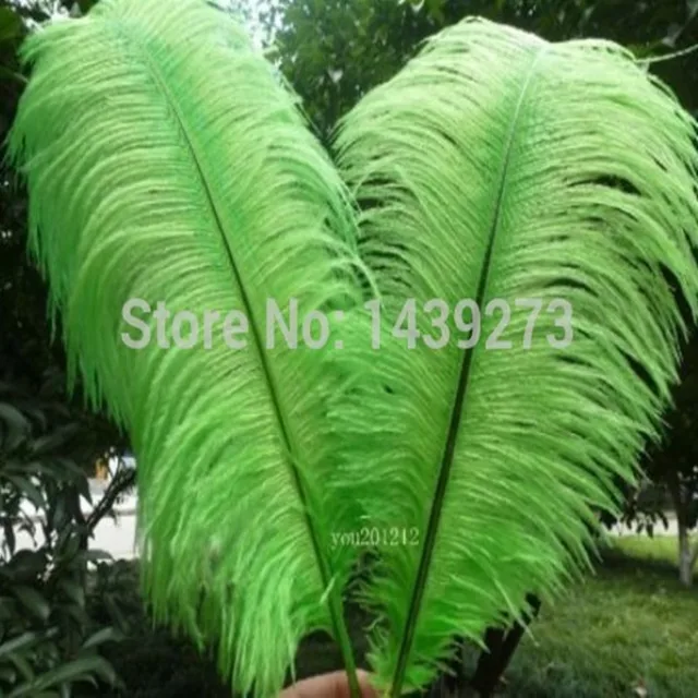 100pcs /lot natural ostrich feathers 16 18 inches / 40 45cm green