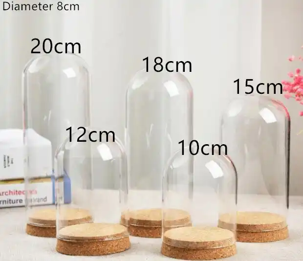 glass dome doll display case