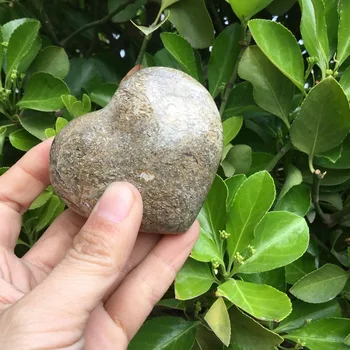 

170g Natural Dinosaur Bone Fossil carved crystal heart shape stone puffy heart