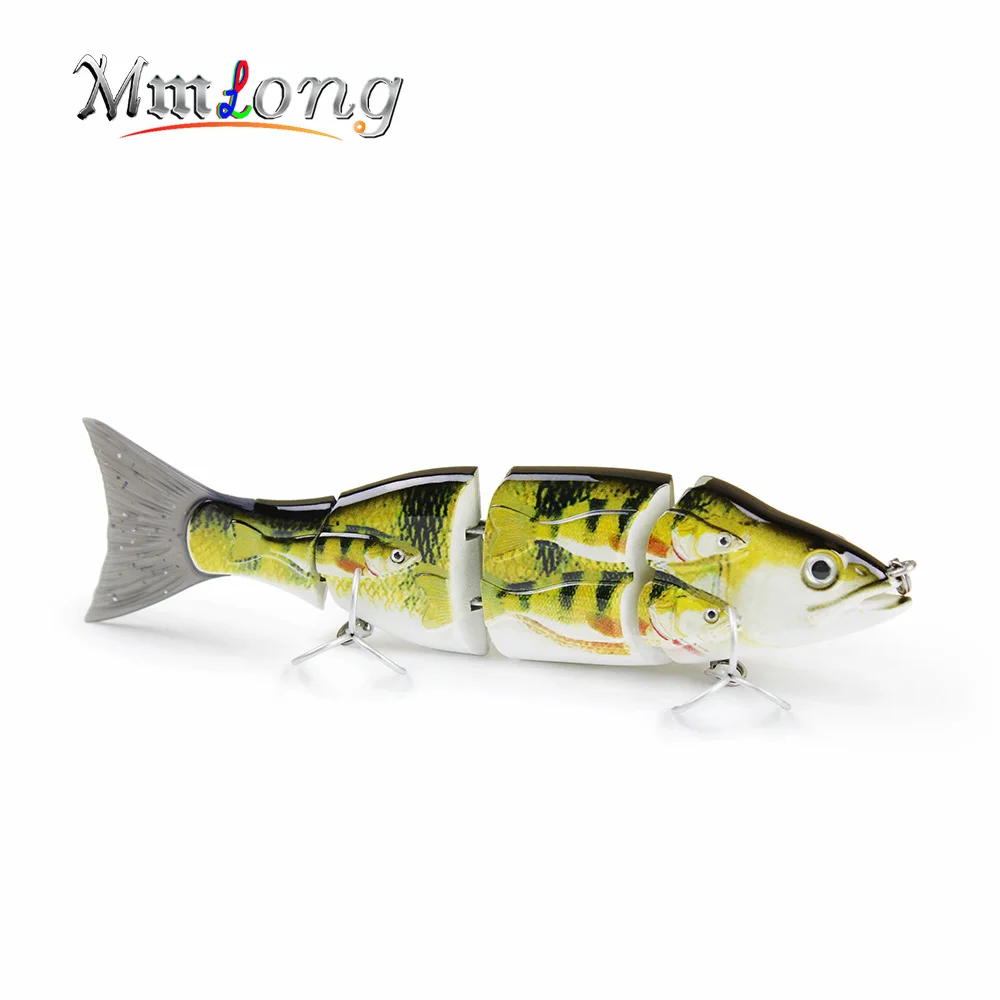 Group fish 2