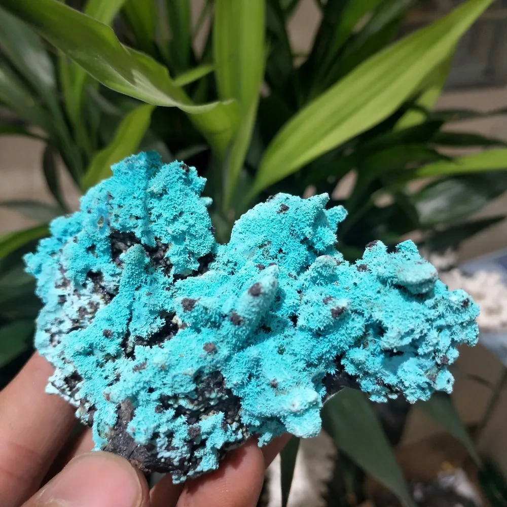 

Natural turquoise mineral specimens for home decoration