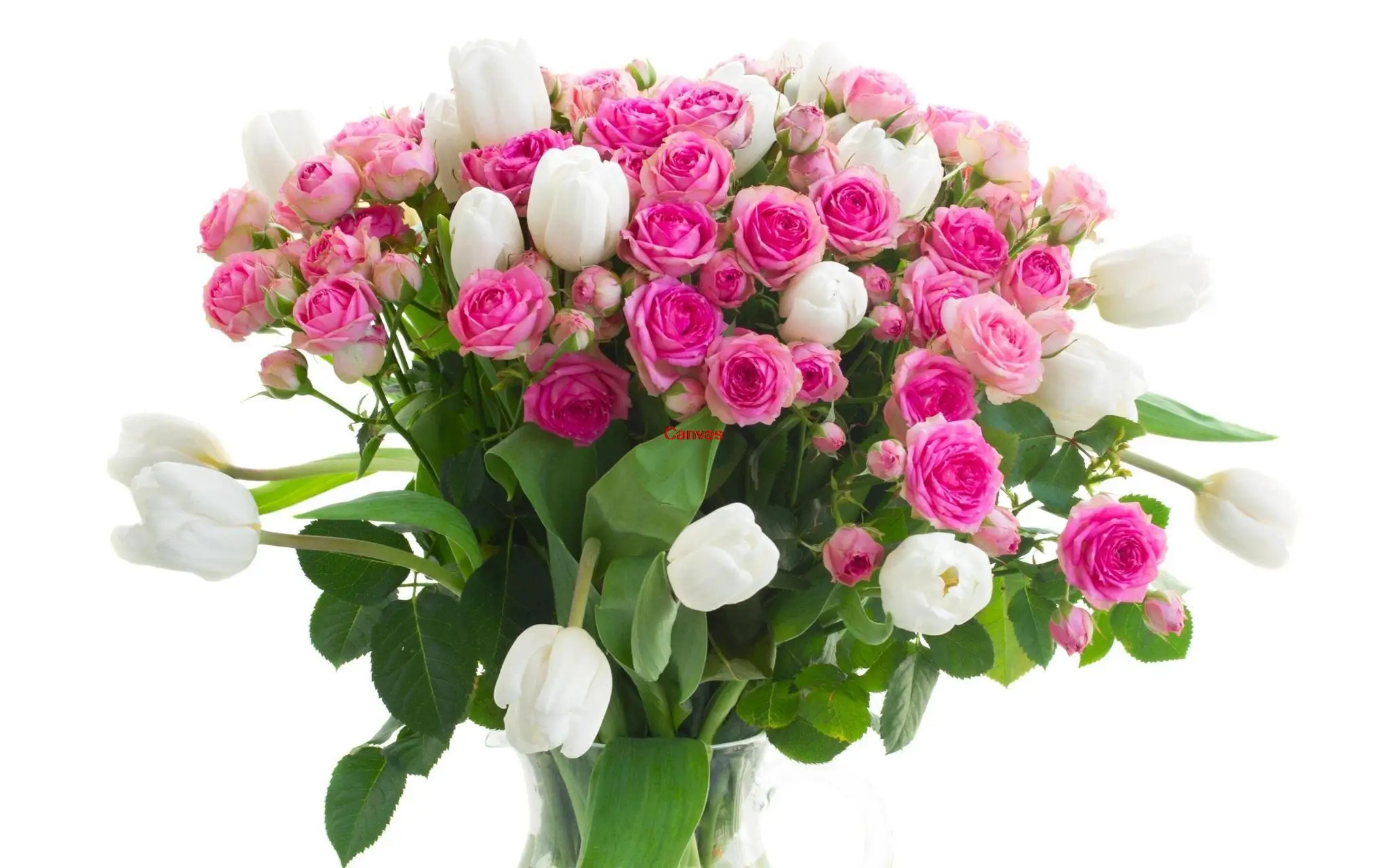 Online kopen wholesale roze witte bloemen uit china roze witte ...