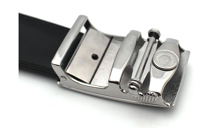 belt31