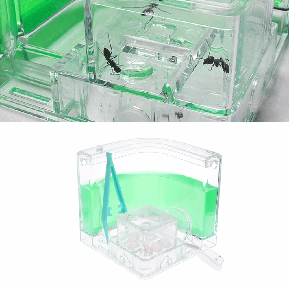 

Multicolor Ant Farm Box Gel Maze 3D Educational Nursery Live Feeding System Novelty Habitat Ant Insect Ecology Pet Toys C42