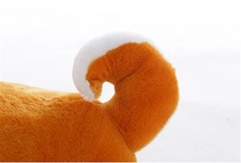 dog26