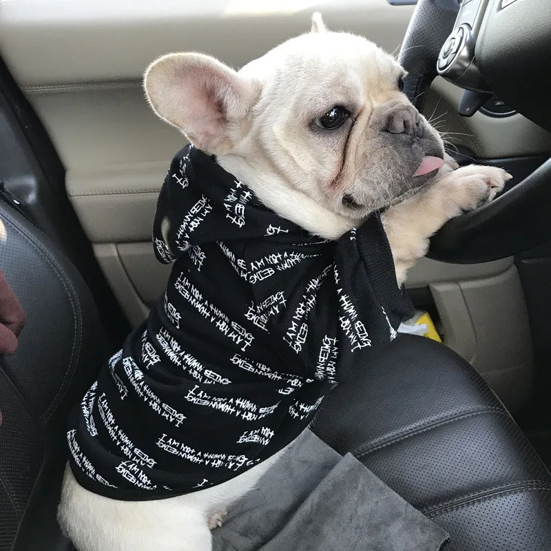 

HSWLL New Terry Cotton Full Letters Dog Clothes Small Dogs Pet Sweater