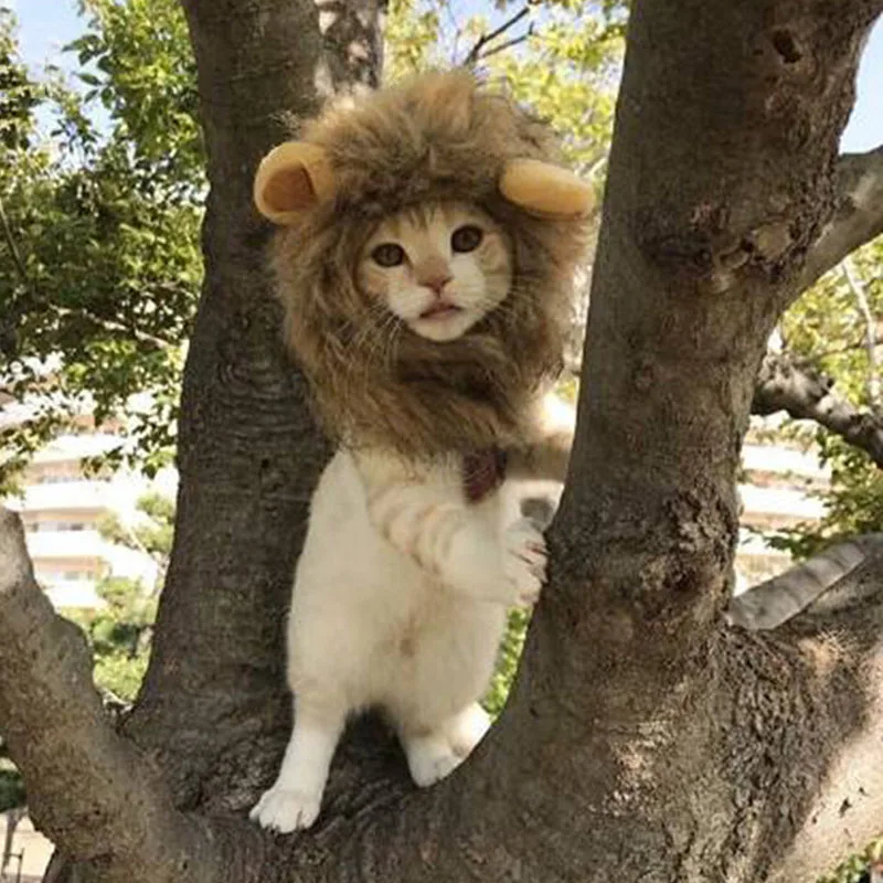Костюм Льва для кошек, маленьких собак, Забавный парик льва с ушками, костюм кошки, аксессуары для Хэллоуина, вечерние
