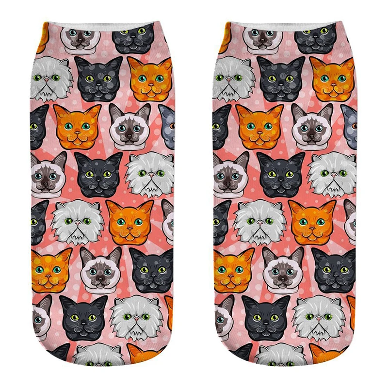 9367634653_520631427