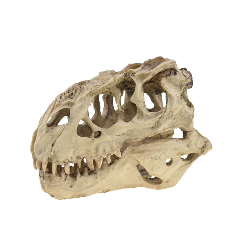 Aquarium Decoration Resin Artificial Ornament Aquarium Ornament For Fish Tank Aquarium Dinosaur Skull Aquatic Cave Hide Hut Climbing Reptile House
