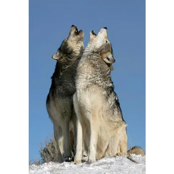 

Diy diamante imagem bordados ferramentas agulhasde diamante Kits para embroidery ganchos neve lobo artesanato presentes 5d W251