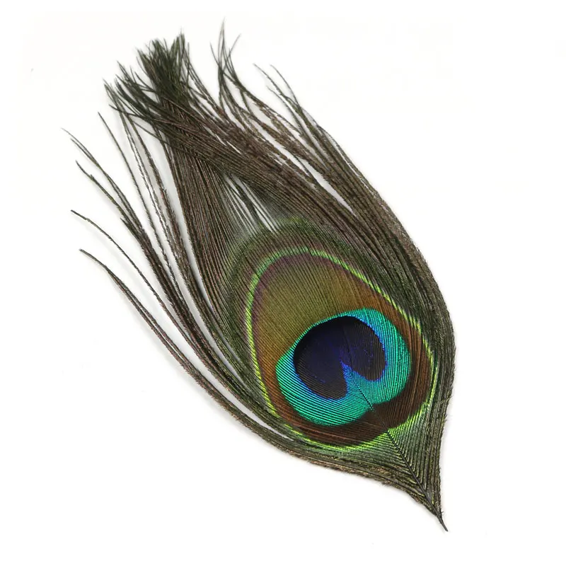 

10PCS Natural Peacock Eye Feather Fly Tying Streamer Flies Body Material