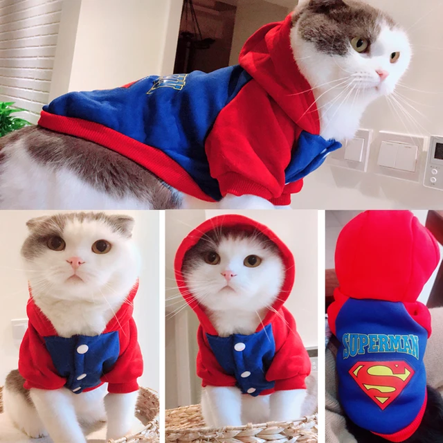 Cartoon cat hooded sweater cat coat jacket kitten pet overalls cat clothes pet clothing 2