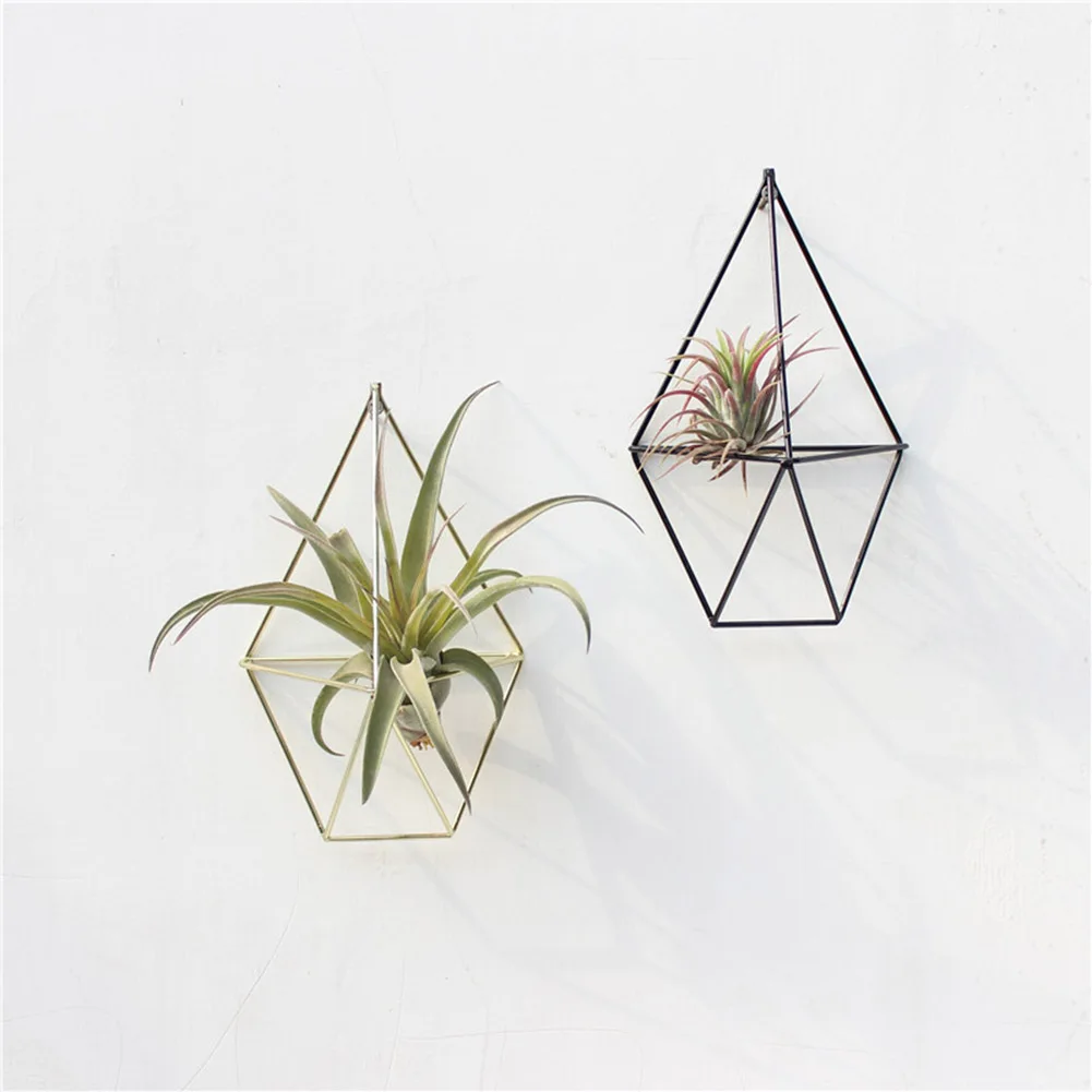 

New Wall Mounted Air Plants Holder Irregular Geometric Metal Hanging Rack for Branch Eave Ceiling NE