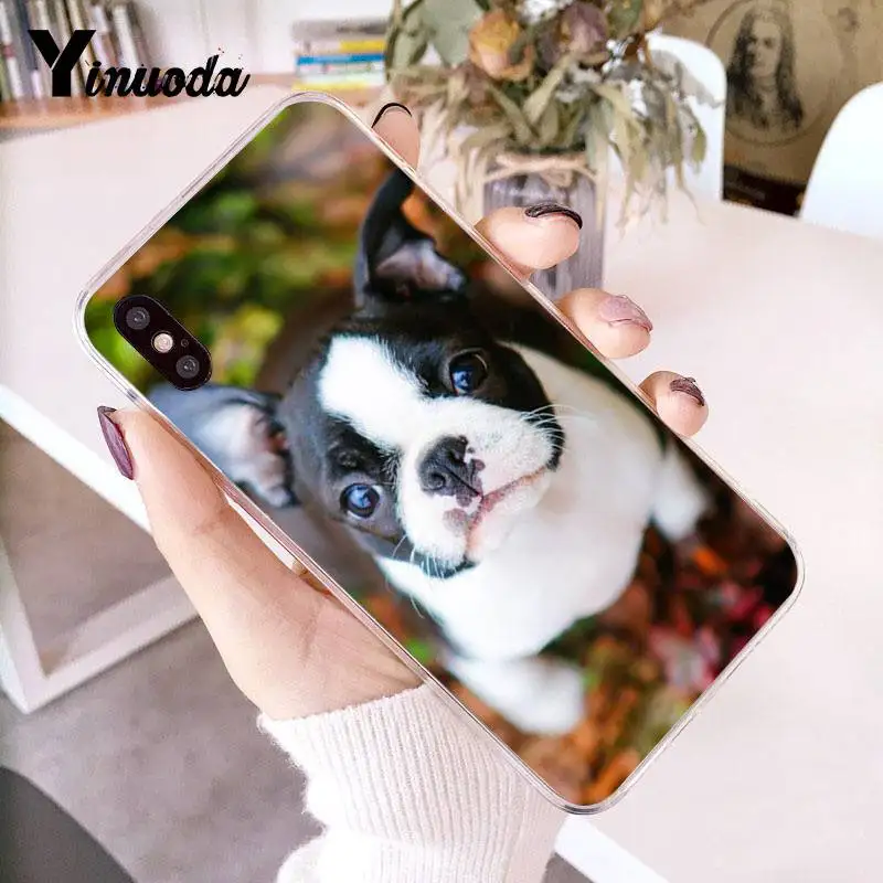 Чехол Yinuoda для iPhone 7 Boston Terrier прозрачный чехол 8 6 6splus X 10 5 5S SE XR XS XSMAX|Бамперы| |