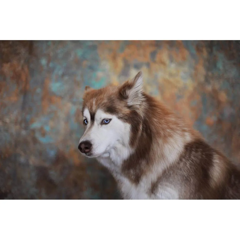 HTB1I3GZSXXXXXcUaXXXq6xXFXXXz