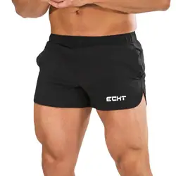 2019 Новая мода для мужчин спортивные летние шорты для женщин мотобрюки спортивные брюки фитнес короткие Jogger повседневное тренажерные