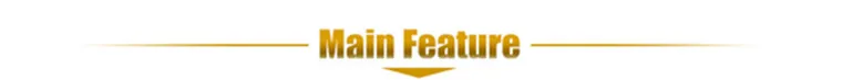 Main feature_1