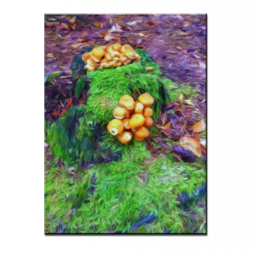 NEW 100% hand-painted wall oil painting high quality Household adornment art pictures DM-15112606