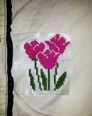 aeProduct.getSubject()