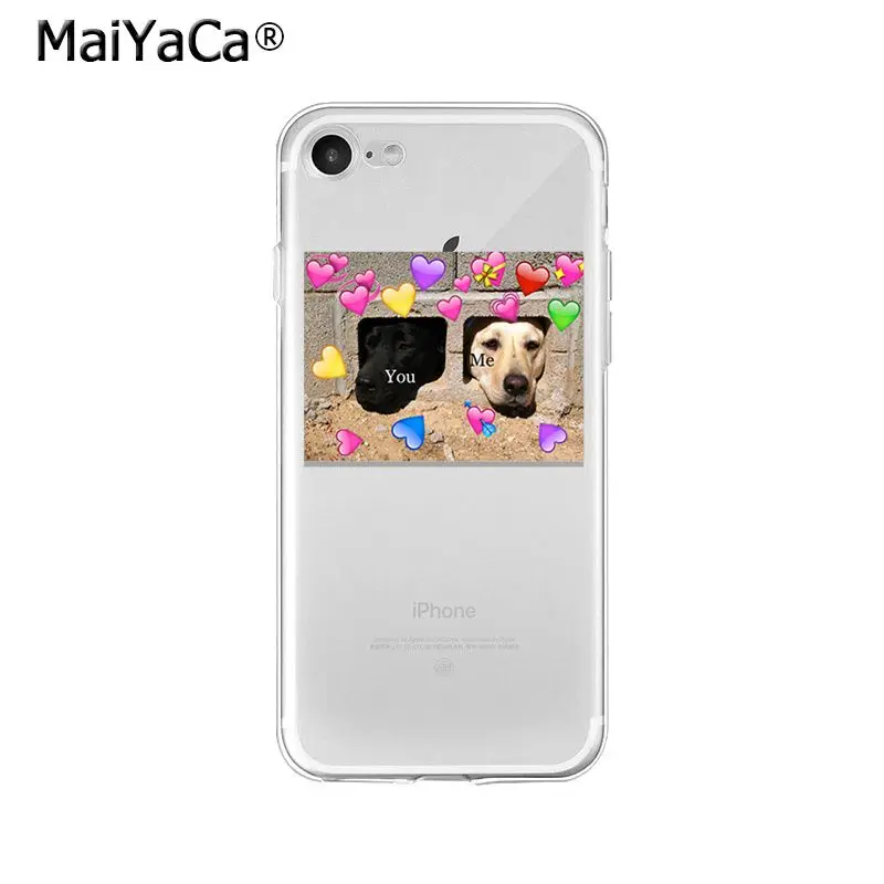 Animal Dog Cat Love You Friend Couple