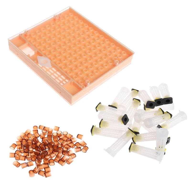 

Beekeeping Case Bee Queen Multi Holes Box Apiculture Cupkit Cell Tools Cup queen rearing cupkit box beekeeping cage