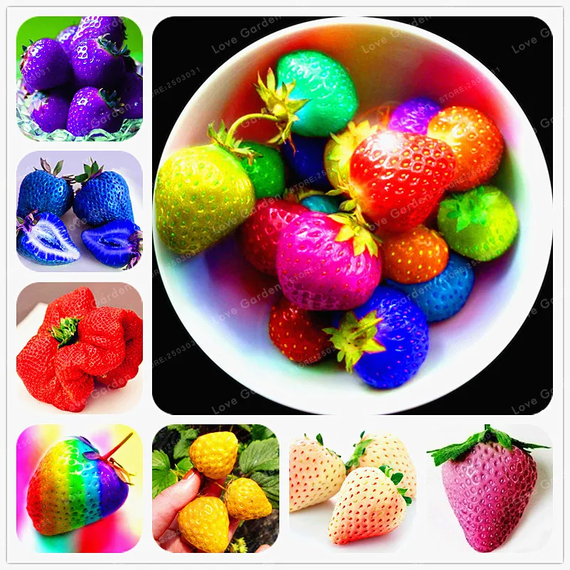 

Rare Strawberry Bonsai Many Variety Very Delicious Organic Nutrition Fruit Bonsai For Home Garden Bonsai Plant 100 Pcs