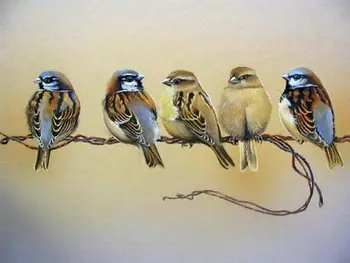 

5d diy diamond painting sparrow pattern full square / round drill diamond embroidery bird 3D mosaic artwork