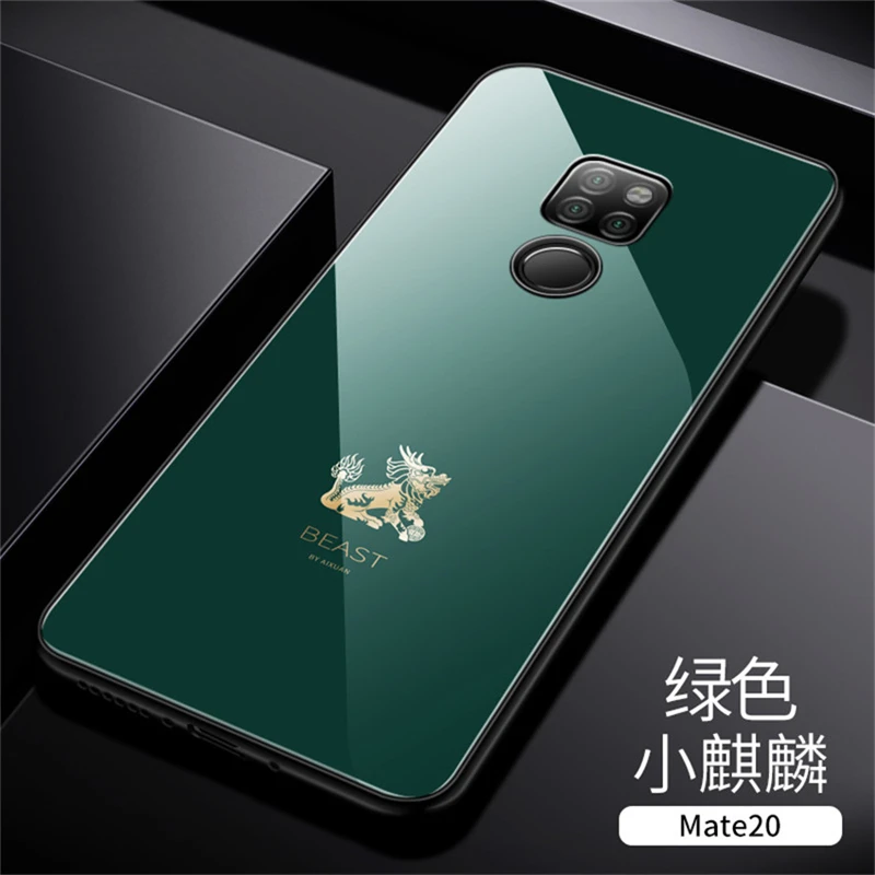 Tempered Glass Phone Case For Huawei Mate 20 (16)