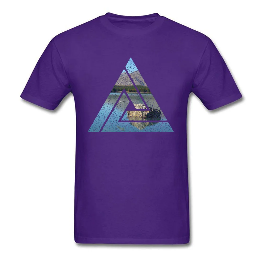 Soar_purple
