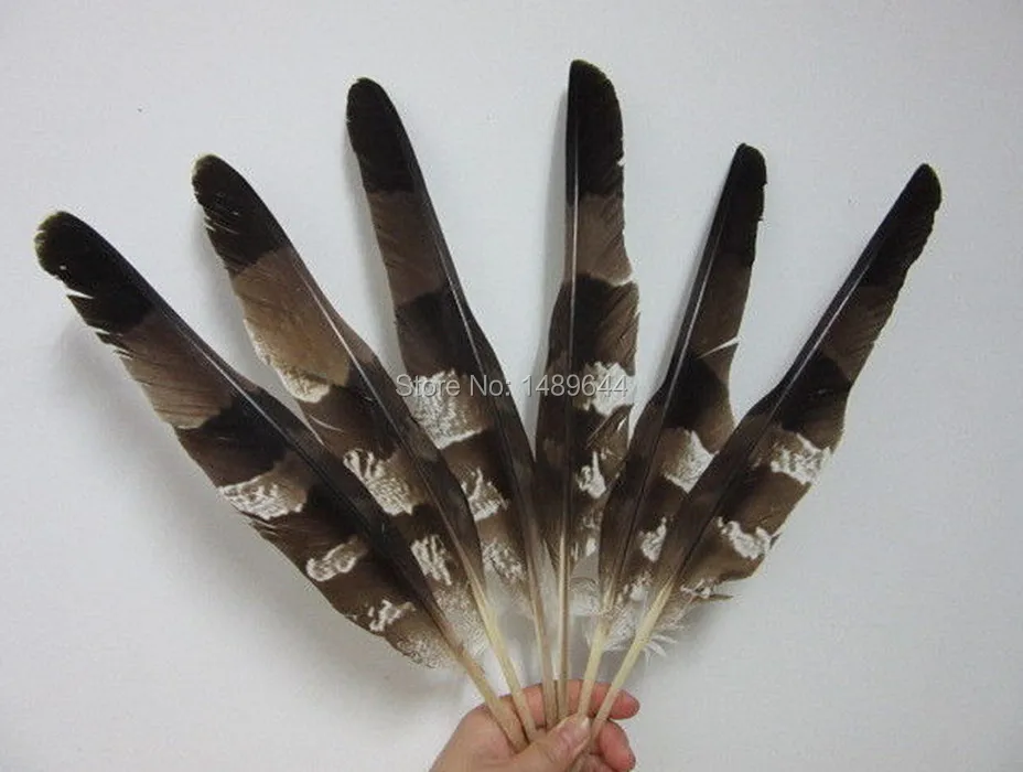 

Wholesale 10 pc 14-17inches / 35-42cm high quality natural Eagle bird feathers, diy jewelry decoration