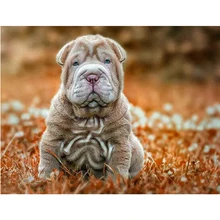 5D DIY Алмазная картина Картина на заказ Алмазная вышивка ПЭТ Шар пей животное собака полный квадратный мозаичная картина из страз L175