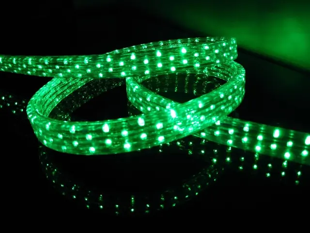100m Roll Led 5 Wires Flat Rope Light 36leds M Size 11mm 28mm Dc12v 100m Roll Led 5 Wires Flat Rope Light 36leds M Size