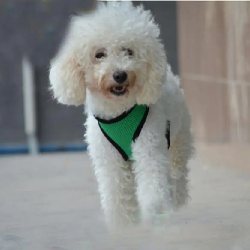 

Dog Harness reflective Soft Mesh Vest Dog Lead Leash Chest Belt security 8.9