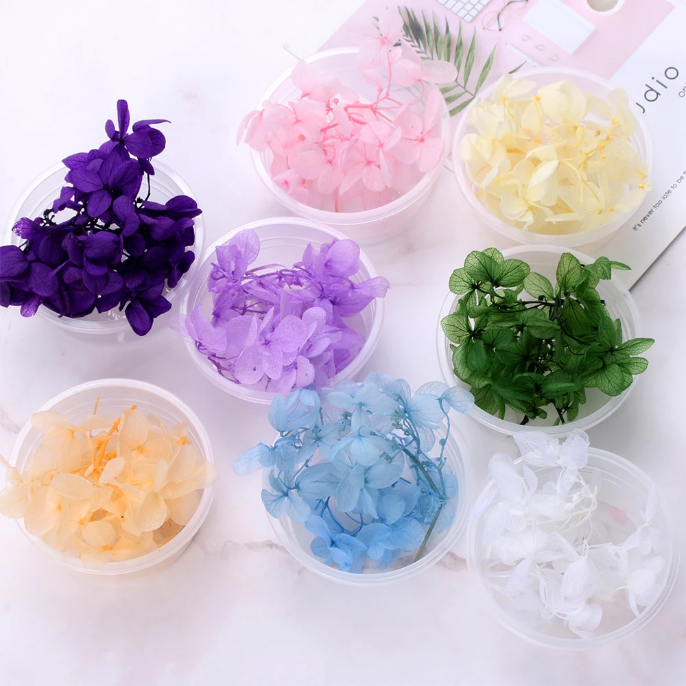 

1Box Dry Flower DIY Epoxy Resin Handmade Crafts Filling Materials Filler Dried Flowers Time Stone Jewelry Making Desk Decor