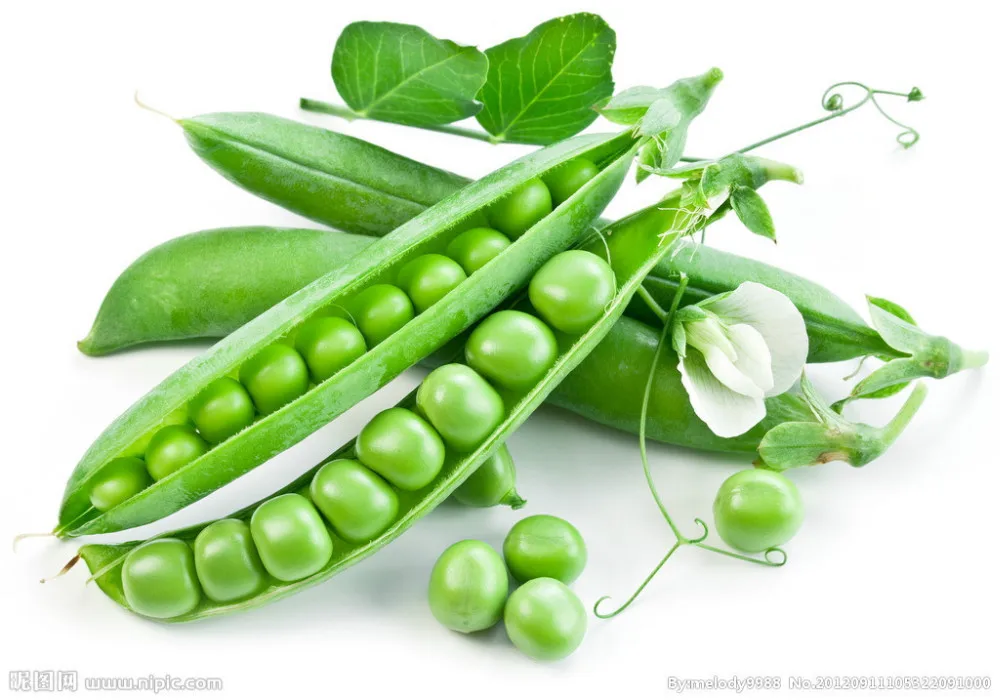Image result for pea