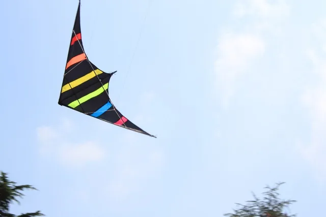 NEW Arrive 48 Inch Professional Dual Line Stunt Kite With Handle And Line Good Flying Factory Outlet 2