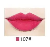 Стойкий блеск для губ увлажняющий матовый водонепроницаемый питательный блеск для губ Профессиональная жидкая помада-Косметика для макияжа 62 цвета - Цвет: 107