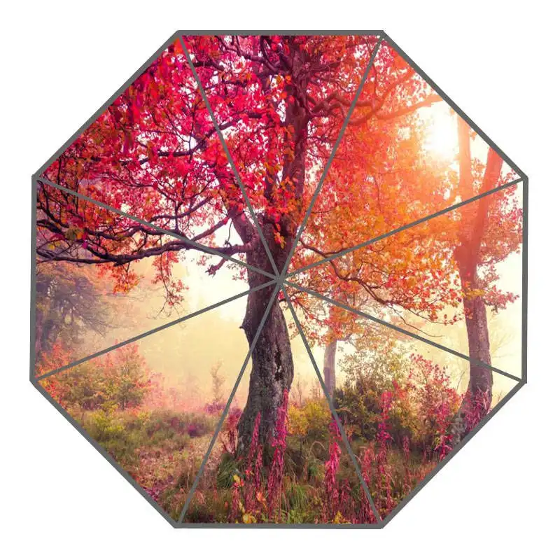 

Nice Forests Autumn Umbrella Custom Sunny and Rainy Umbrella Design Portable Fashion Stylish Useful Umbrellas Good Gift