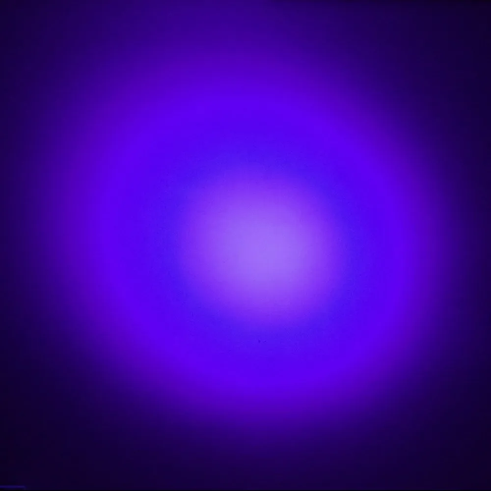 12 violet-3 