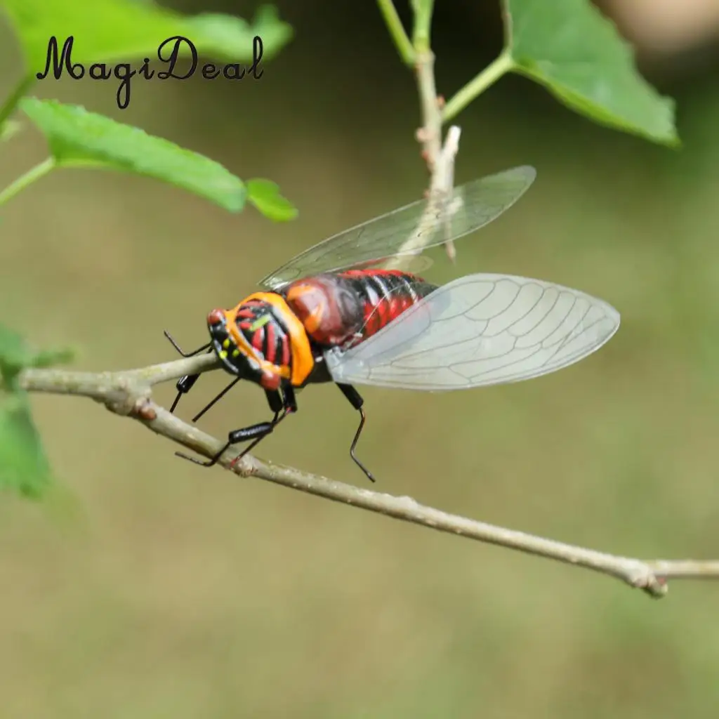 MagiDeal Artificial Lifelike Insects Model Cicada Figurines Home Garden Art Craft Decor DIY Tree Decor Kids Play Toy 